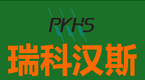 吉林瑞科汉斯电气股份有限公司吉林瑞科汉斯电气股份有限公司